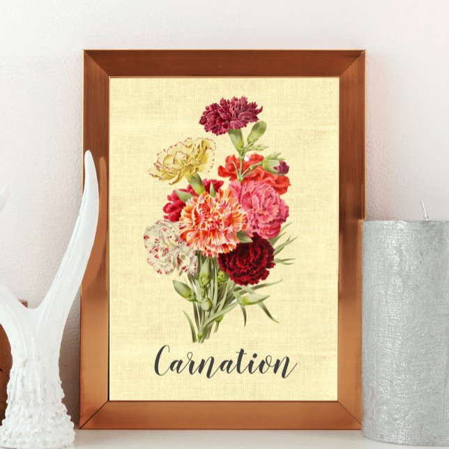 Póster Bonito Carnation Bouquet (Subido por el creador)