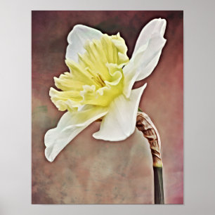 Póster Bonito Daffodil Flower Fotografia Art Print