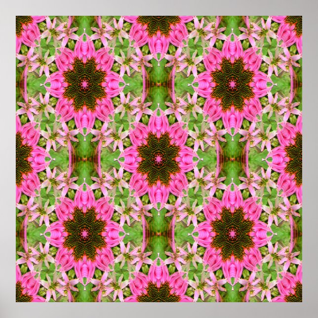 Póster Bonito Echanicea...... (Frente)