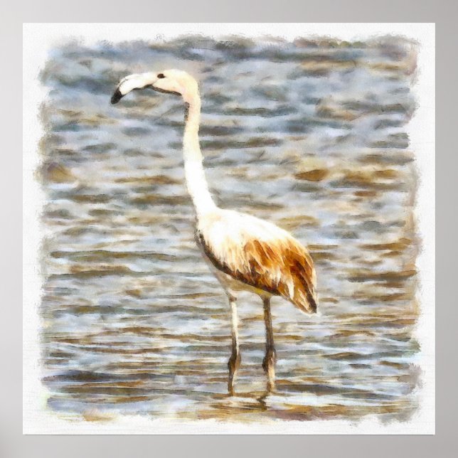 Póster Bonito Flamingo Fledgling Watercolor (Frente)