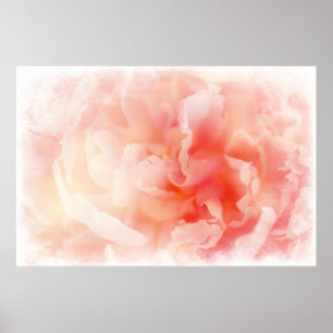 Póster Bonito Fluffy Pink Peony Poster