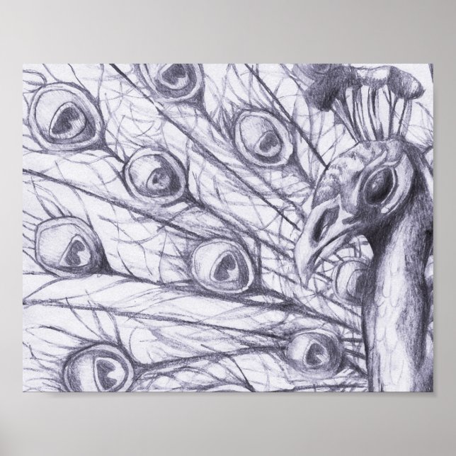 Póster Bonito pavo real (Frente)