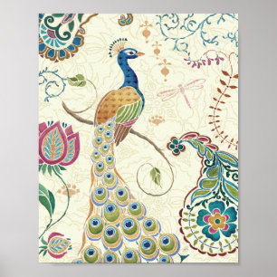 Póster Bonito Peacock
