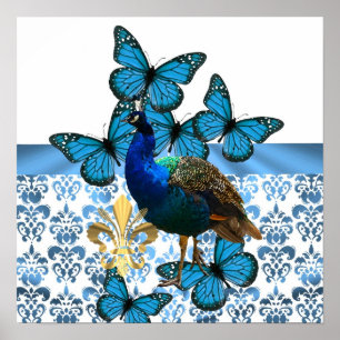 Póster Bonito Peacock y mariposas azules