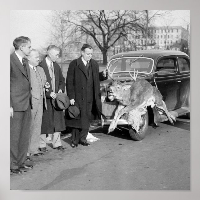 Póster Bonito rack, 1938 (Frente)