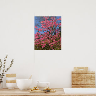 Póster Bonito Rosa Azaleas Floral