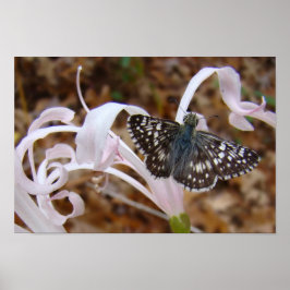 Póster Bonito rosado