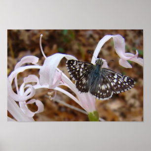 Póster Bonito rosado
