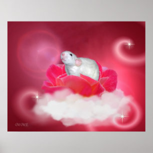 Póster Bonito rosado