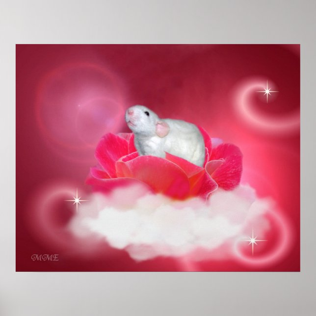 Póster Bonito rosado (Frente)