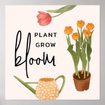 Bonito Script Planta Crecer Bloom Tulip