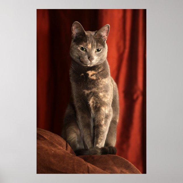 Póster Bonito sentada (Frente)