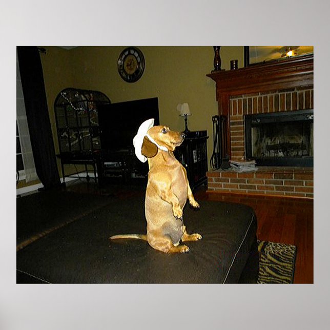 Póster Bonito sentada Poster Dachshund (Frente)