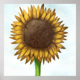 Póster Bonito Sunflower