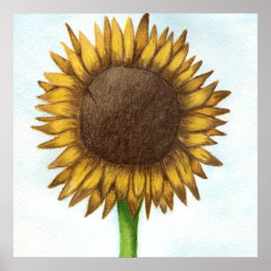 Póster Bonito Sunflower