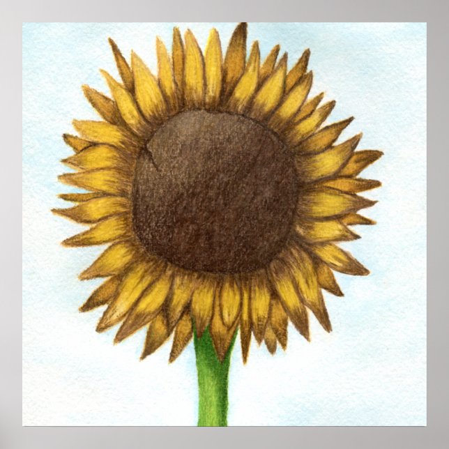 Póster Bonito Sunflower (Frente)