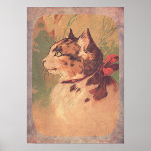 Póster Bonito Vintage Kitty