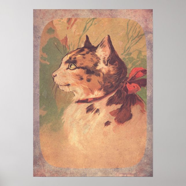 Póster Bonito Vintage Kitty (Frente)
