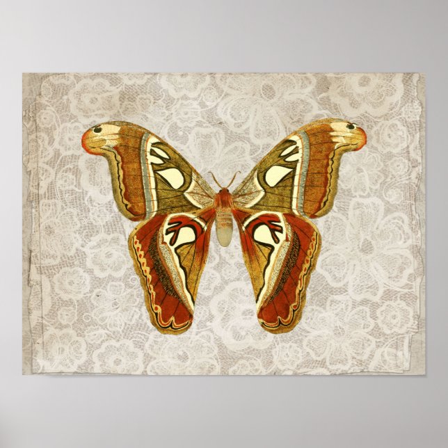 Póster Bonito Vintage Moth Botanical (Frente)