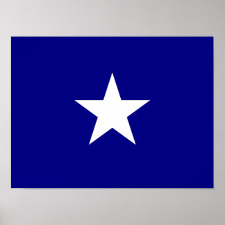 Póster Bonnie Blue Flag Estrella Blanca