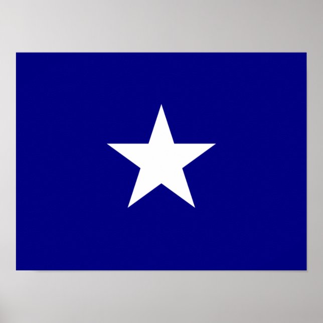Póster Bonnie Blue Flag Estrella Blanca (Frente)