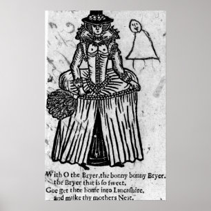 Póster Bonny Bonny Brier
