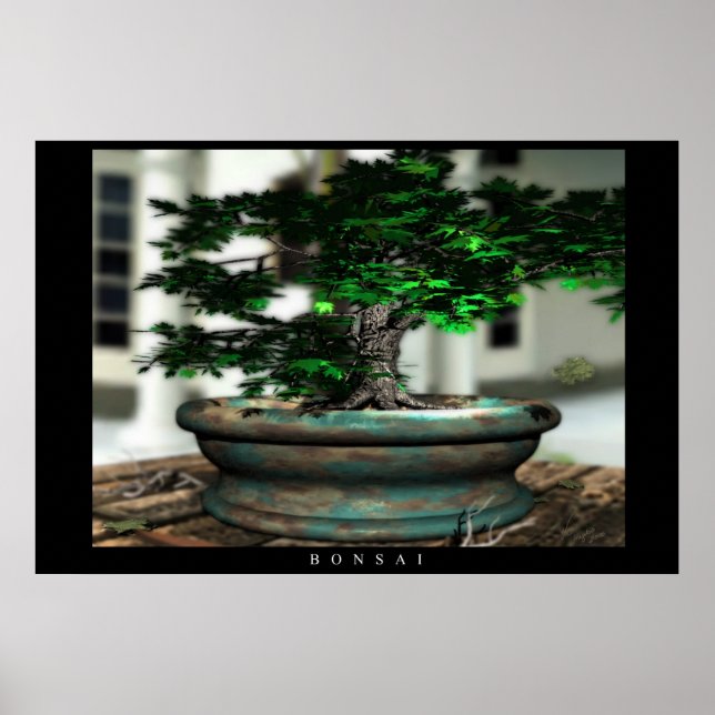 Póster Bonsai (Frente)