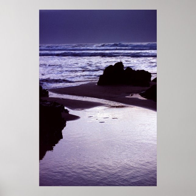 Póster Boobys Bay (Frente)