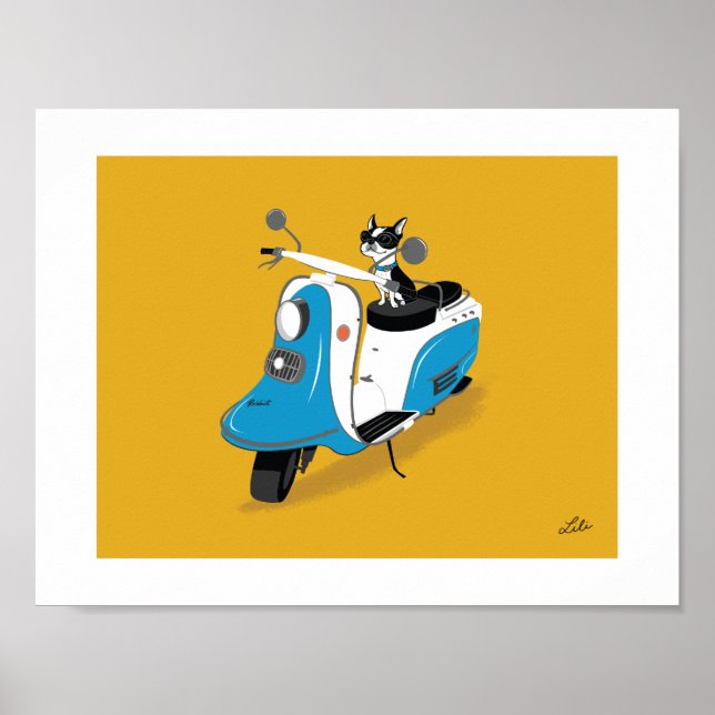 Póster Boogie en el conejo Fuji (Frente)