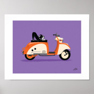 Póster Boogie en Tula