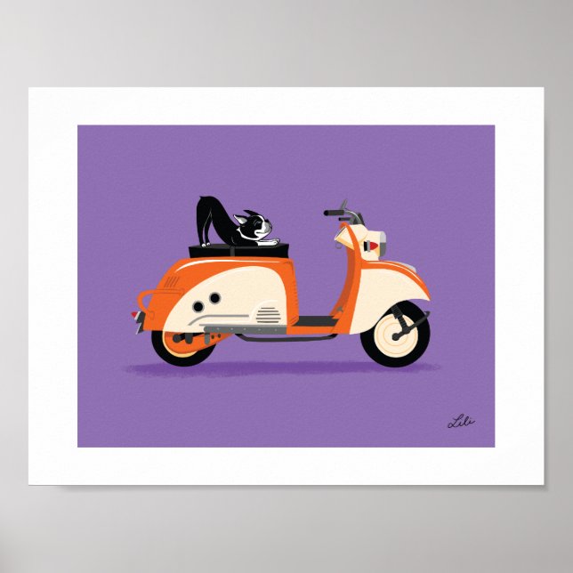 Póster Boogie en Tula (Frente)