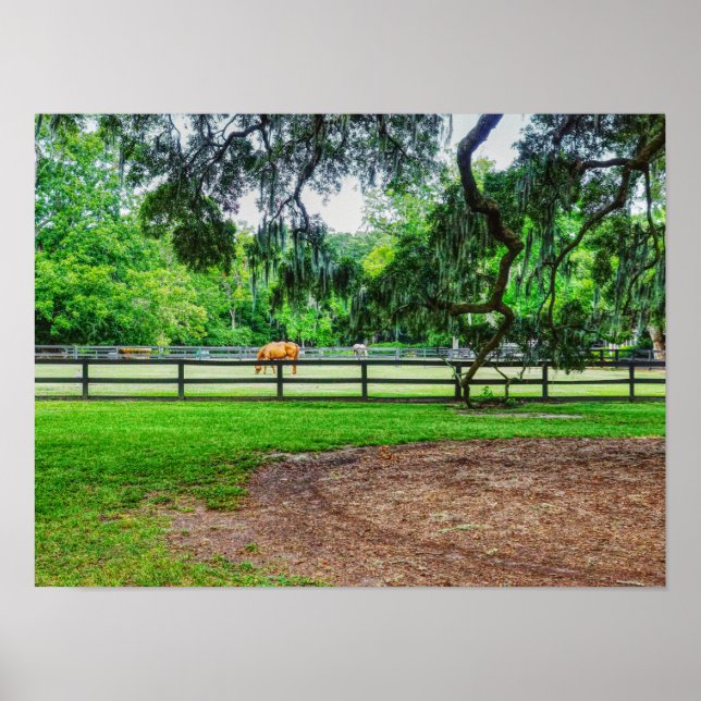 Póster Boone Hall Stables (Frente)