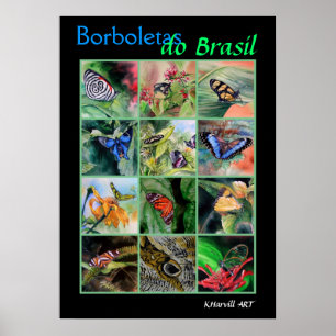 Póster Borboletas do Brasil Poster