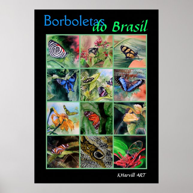 Póster Borboletas do Brasil Poster (Frente)
