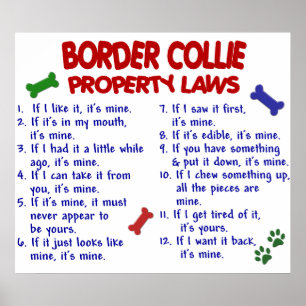 PÓSTER BORDE COLLIE PL2