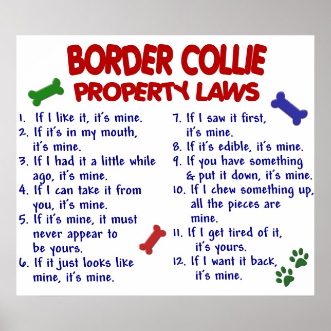 PÓSTER BORDE COLLIE PL2 (Frente)