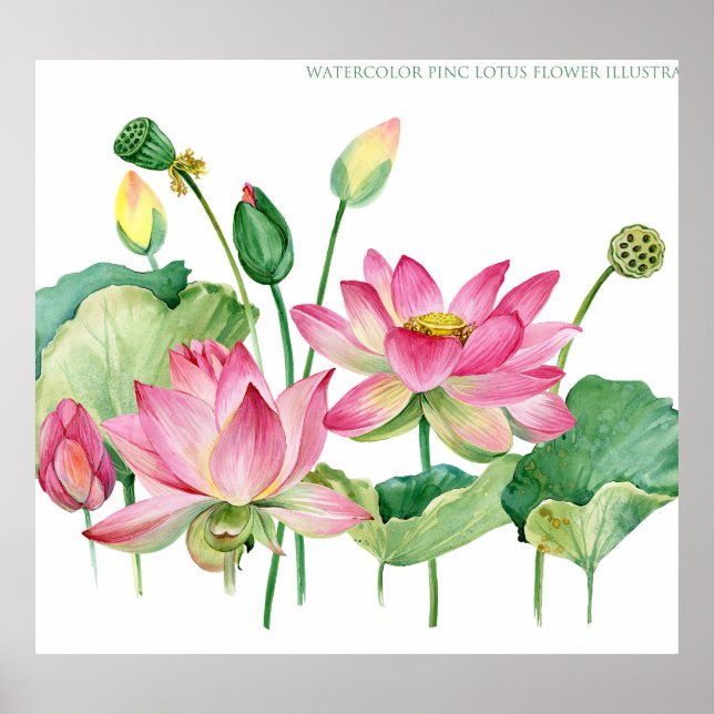 Póster Borde de acuarela de Lotus rosa (Frente)