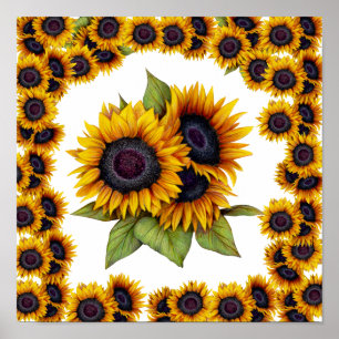 Póster Borde de girasoles