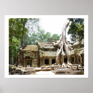 Póster borde del árbol de ta prohm