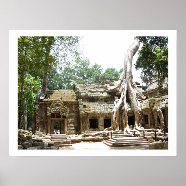 Póster borde del árbol de ta prohm (Frente)