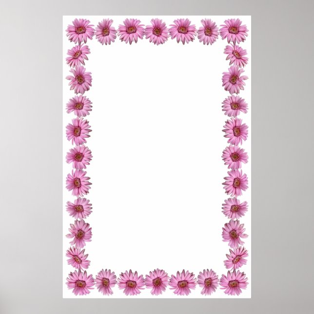 Póster Borde rosado de margarita sobre fondo en blanco (Frente)