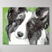 Border Collie Acuarela