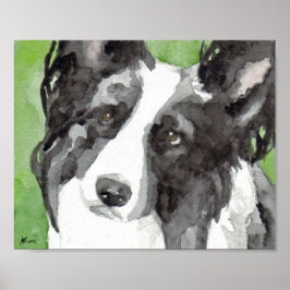 Póster Border Collie Acuarela