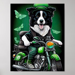 Póster Border Collie conduciendo bicicleta día de San Pat