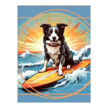 Border Collie negro y blanco haciendo surf