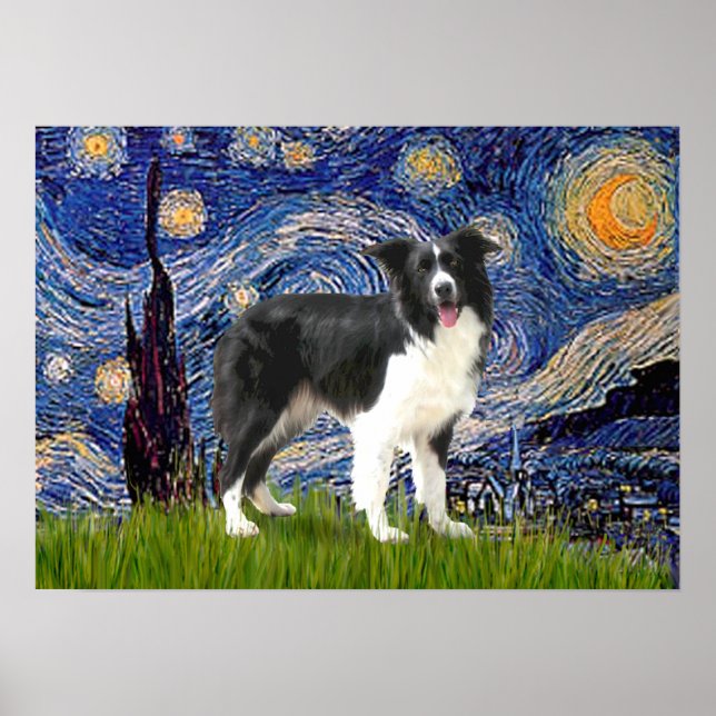 Póster Border Collie (Z) - Noche Estrellada (Frente)