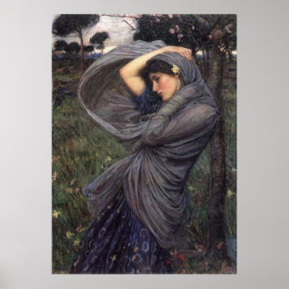 Póster Boreas Poster