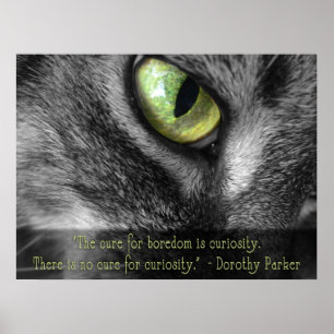 Póster Boredom - Curiosidad, poster de citas de Dorothy P