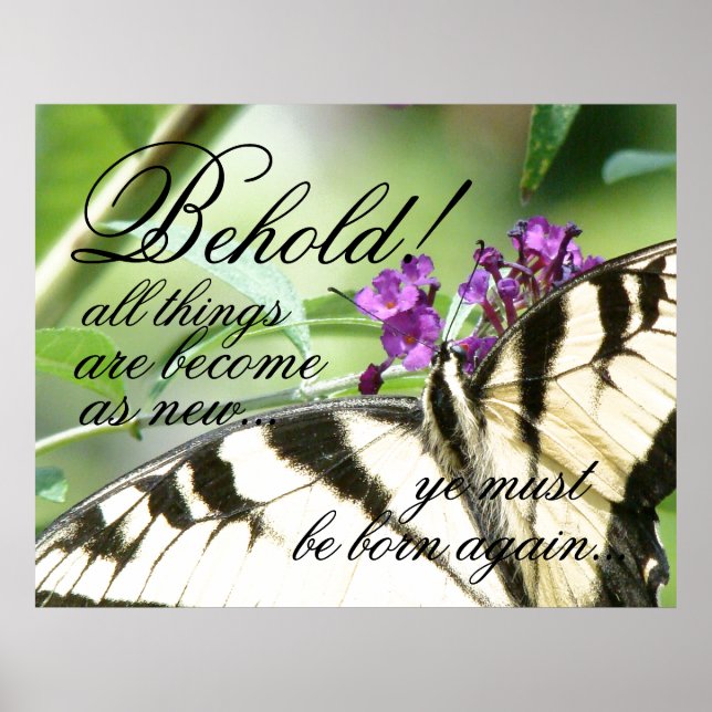 Póster Born Again Butterfly Bible Christian Poster (Frente)