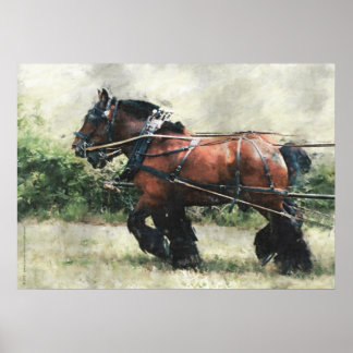 Póster Borrador del equipo de caballos en el mazo de cabl